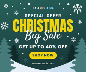 DocHipo Christmas Vector Icons in Snowflakes